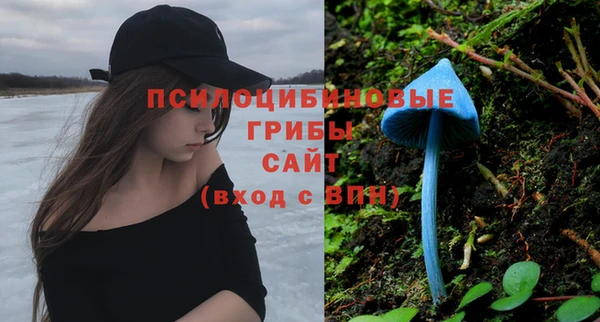 синтетический гашиш Алексин