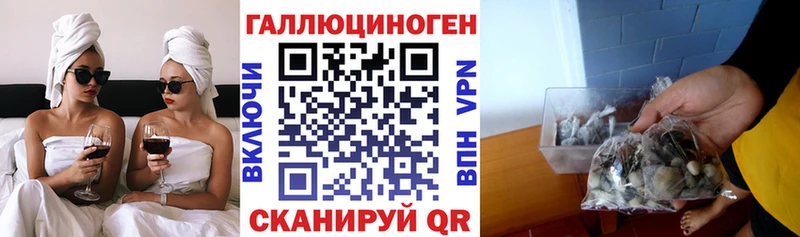 Псилоцибиновые грибы Cubensis  Геленджик 