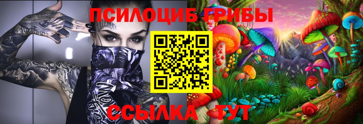 Галлюциногенные грибы MAGIC MUSHROOMS  Вход с VPN  Геленджик 
