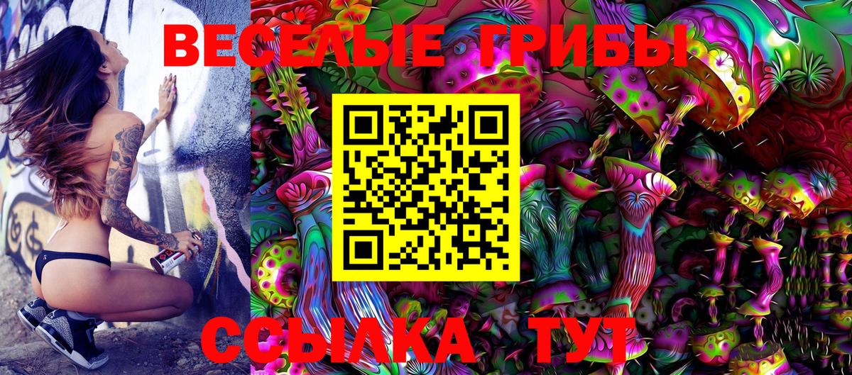 Псилоцибиновые грибы MAGIC MUSHROOMS Геленджик
